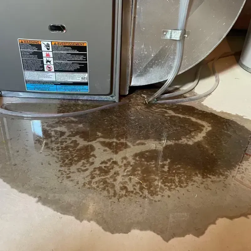 Appliance Leak Cleanup in Wheeling, WV